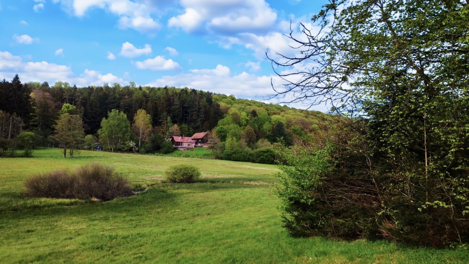 Haus in grüner Landschaft mit Wiese und Wald im Hintergrund, blauem Himmel und Wolken.