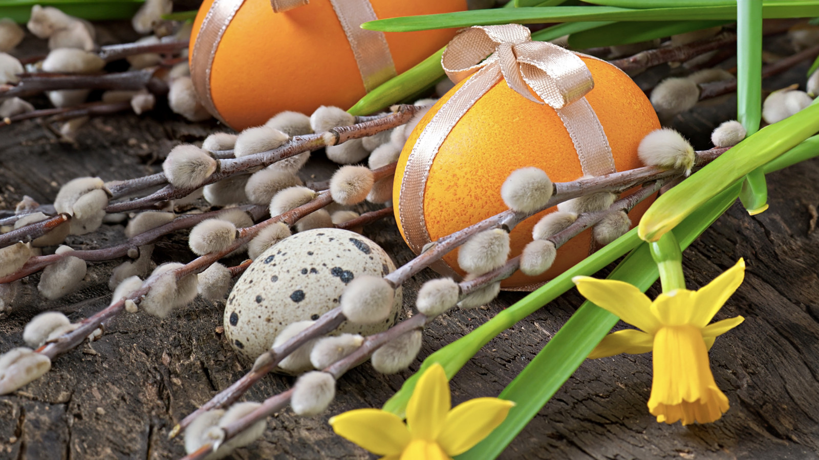 Orange Ostereier, Weidenkätzchen, gelbe Narzissen und ein Wachtelei auf Holz arrangiert.
