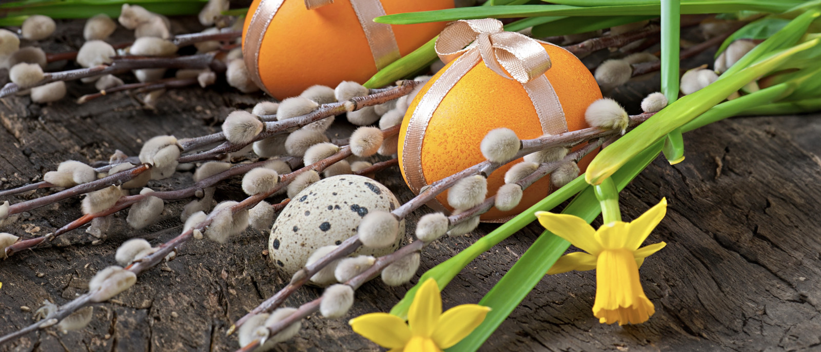 Osterdekoration mit orangefarbenen Eiern, Narzissen und Weidenkätzchen auf Holzuntergrund.