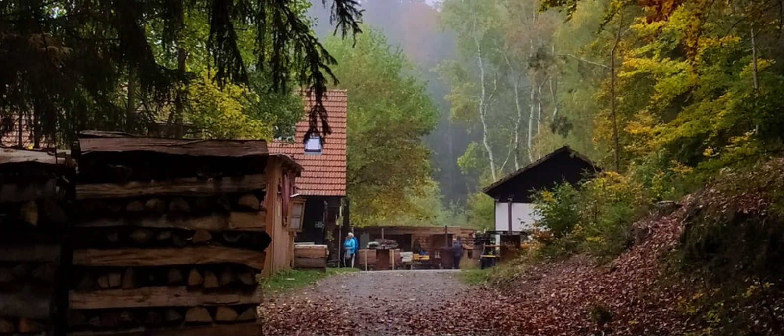 Eine Waldhütte mit Brennholzstapel im Vordergrund und Herbstbäumen im Hintergrund.