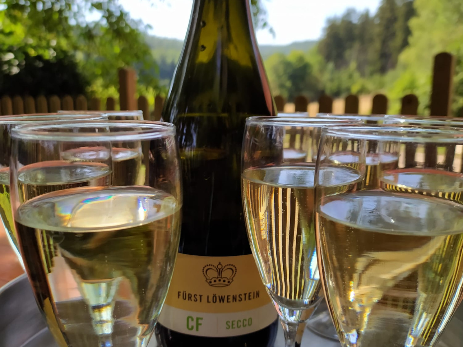 Eine Flasche Fürst Löwenstein Secco mit sechs gefüllten Gläsern auf einem Tablett im Freien.