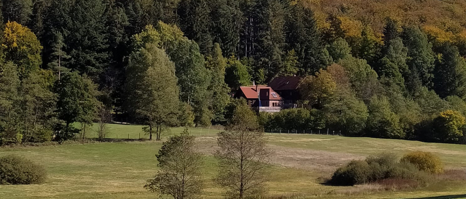 Waldlandschaft im Herbst mit einem Haus und blauem Himmel, Forsthaus Sylvan Logo sichtbar.