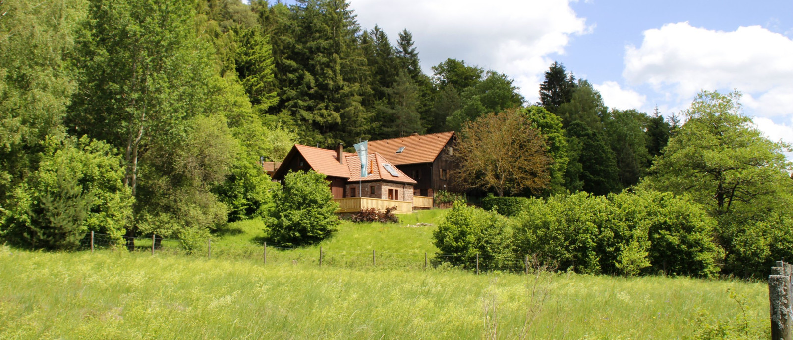 Sylvan – Weihersgrund im Frühjahr